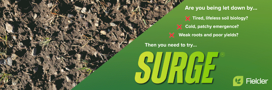 Surge by Fielder Nutrition advertisement