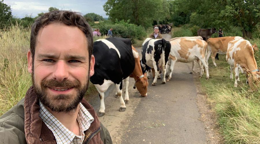 Richard heady in the foreground with cattle on a country road in the background
