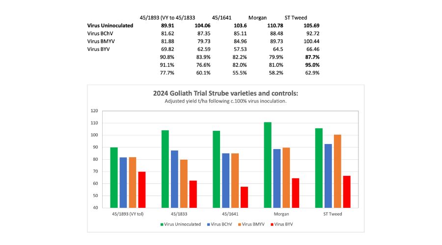 2024 Goliath Trial Strube varieties and controls