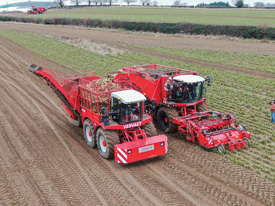 Vervaet beet eater chaser