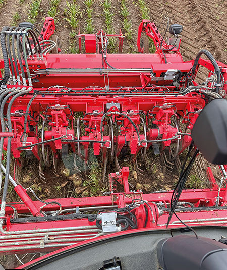 sugar beet harvester